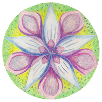 Tulpe-mandala © Anita van Kempen